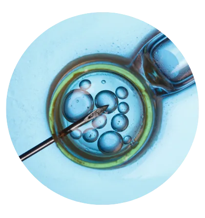 Tüp Bebek (IVF) Sürecinde Fizyoterapi